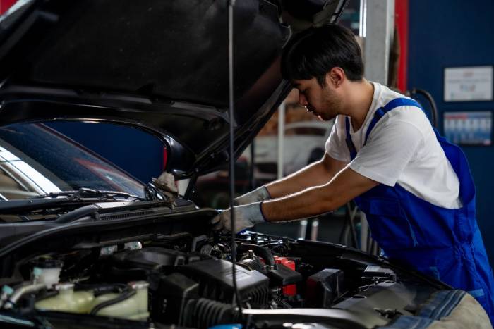 Automobile and Auto Components